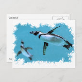 フンボルトのペンギンが水中で不規則なフレームに入る ポストカード (正面/裏面)