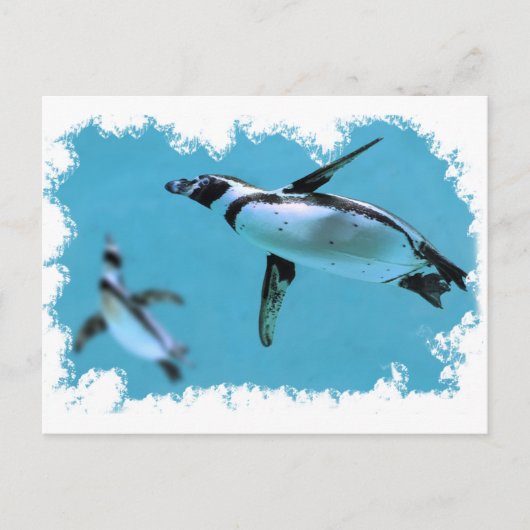 フンボルトのペンギンが水中で不規則なフレームに入る ポストカード (正面)