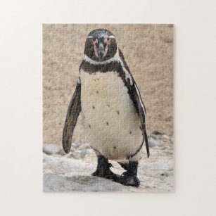 フンボルトのペンギン ジグソーパズル