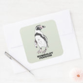 フンボルトペンギン スクエアシール (封筒)