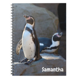 フンボルトペンギン スパイラルノートブック ノートブック
