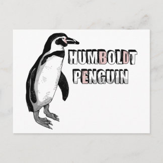 フンボルトペンギン ポストカード