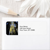 フンボルトレッドウッズ州パーク ラベル (インサイチュ)