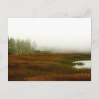 フンボルト湖 ポストカード