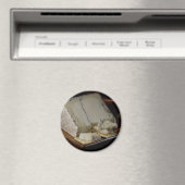 フンボルト・フォグチーズ マグネット (インサイチュ (食洗機))