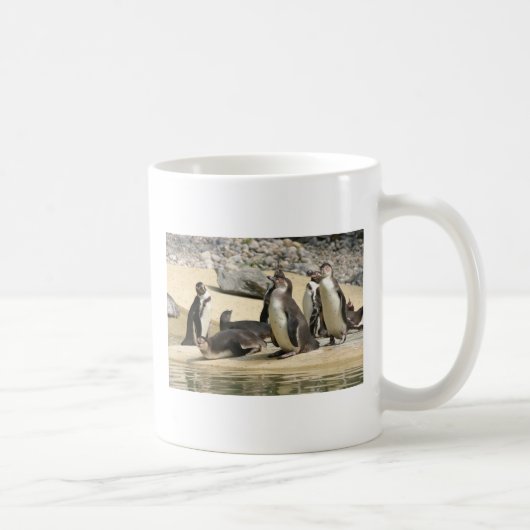フンボルト・ペンギン コーヒーマグカップ (右)