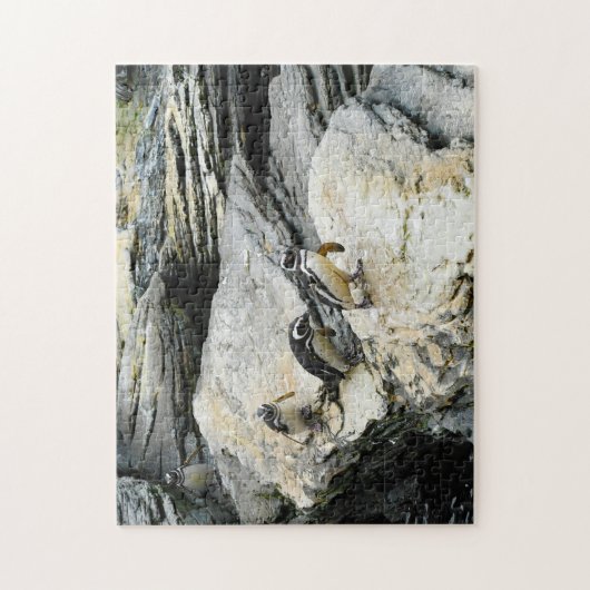 フンボルト・ペンギン。 ジグソーパズル (縦)