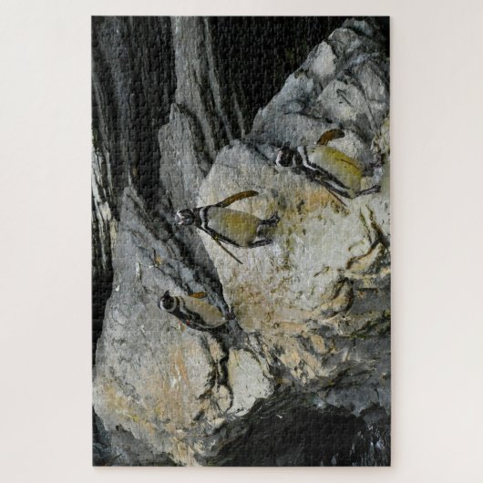 フンボルト・ペンギン。 ジグソーパズル (縦)