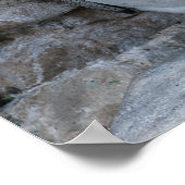 フンボルト・ペンギン ポスター (角)