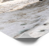 フンボルト・ペンギン ポスター (角)