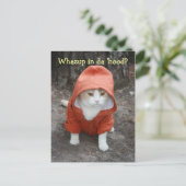 フードの中で何を？ ポストカード (スタンド正面)