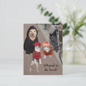 フードの中で何を? ポストカード (スタンド正面)