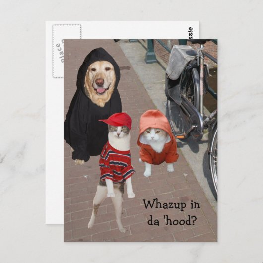 フードの中で何を？ ポストカード (正面/裏面)