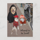 フードの中で何を？ ポストカード (正面)