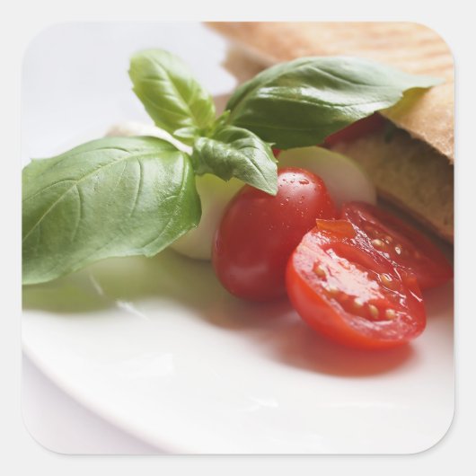 フードスッイタリアンクのシール スクエアシール (正面)