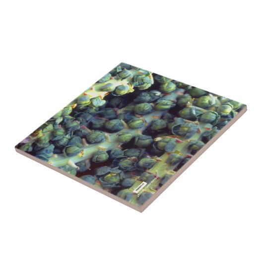 フードタイル タイル (側面)