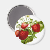 フードフルーツの葉の葉葉 マグネット (正面/裏面)