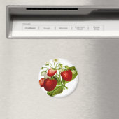 フードフルーツの葉の葉葉 マグネット (インサイチュ (食洗機))