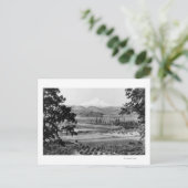 フードリバーバレー写真からフード山 ポストカード (スタンド正面)