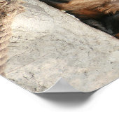 フード付きの猿がかわいいけど怒っている ポスター (角)