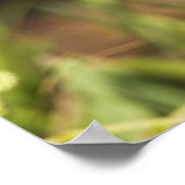 フード付きウォーカー・ウィルソニア・シトリナ)大人,男性, ポスター (角)