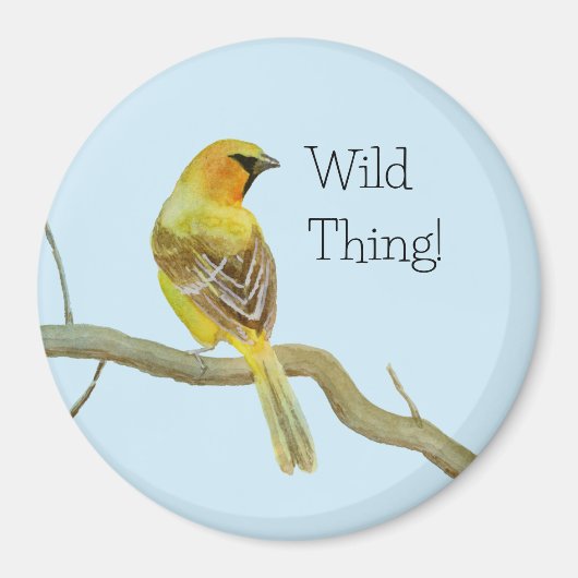 フード付きオリオール マグネット (正面)