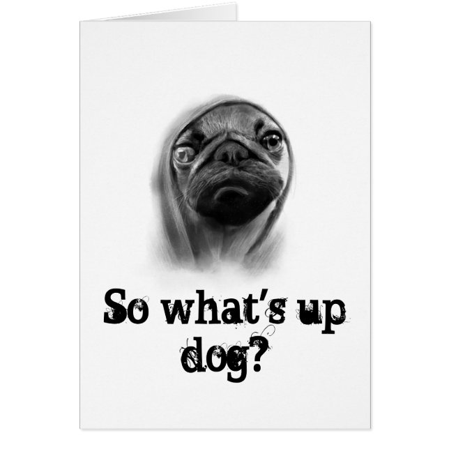 フード付きスウェットシャツのパグ犬 (正面)