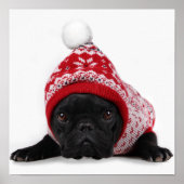 フード付きセーター付きブルドッグ ポスター (正面)