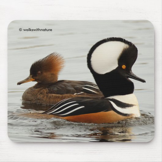 フード付きマガモの出会い マウスパッド (正面)