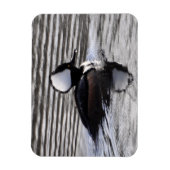 フード付きメルガンサードレイク マグネット (縦)