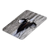 フード付きメルガンサードレイク マグネット (左側)