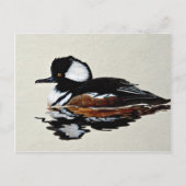 フード付きメルガンサー ポストカード (正面)