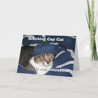 フード被った猫は面白くない カード