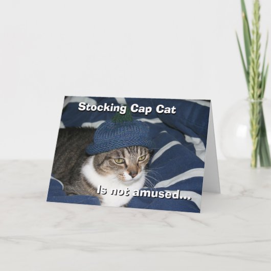 フード被った猫は面白くない カード (正面)