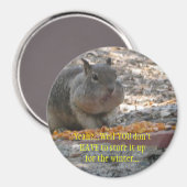 フーバーリス磁石 マグネット (正面/裏面)