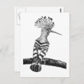 フーポースケッチ ポストカード (正面/裏面)