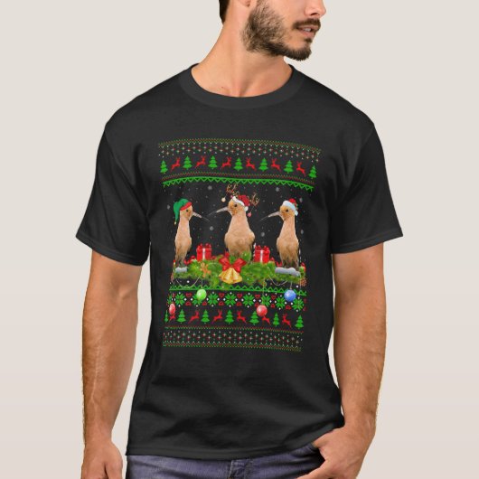 フーポーバードズラバークリスマスズ照明サンタブリーフープ Tシャツ (正面)