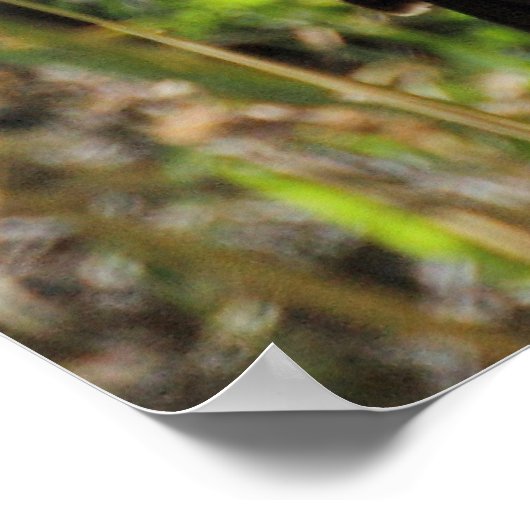 フーポ食べ物を与えーの巣 ポスター (角)