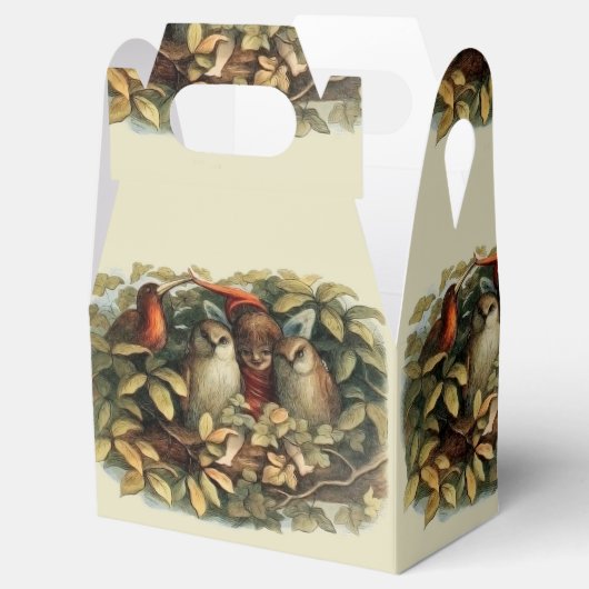 フールと小妖精や小人妖精自然イラストレーション フェイバーボックス (オープン)