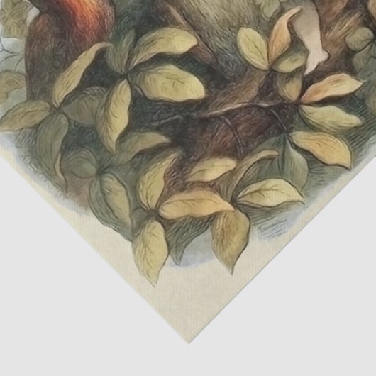 フールと小妖精や小人妖精自然イラストレーション 薄葉紙 (詳細)