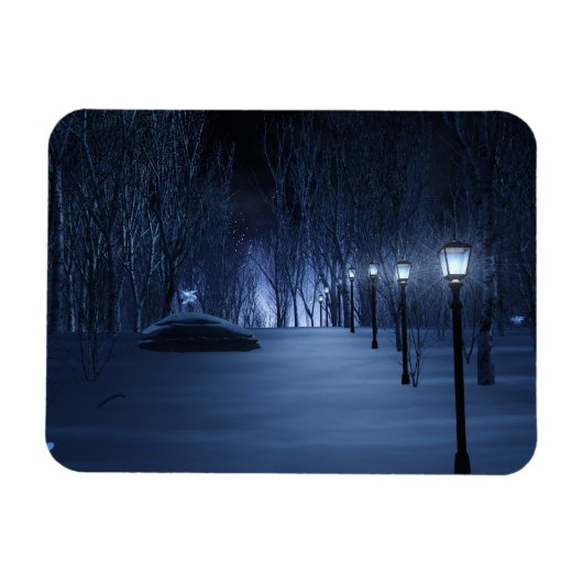 フールの軽い柔軟な磁石 マグネット (横)