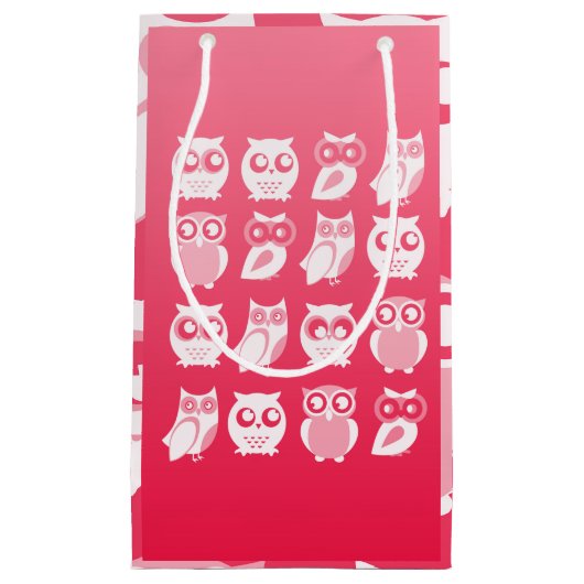 フール抱き枕 スモールペーパーバッグ (正面)