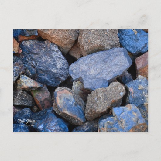 フール金ゴールド シーズンポストカード (正面)