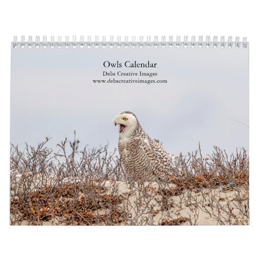 フール2026 カレンダー (カバー)