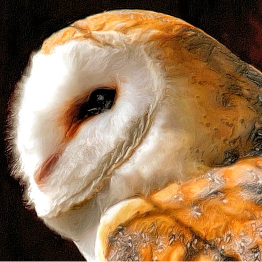 フール クッション