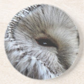 フール コースター (正面)