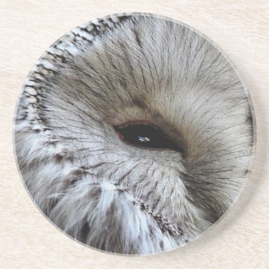 フール コースター (正面)