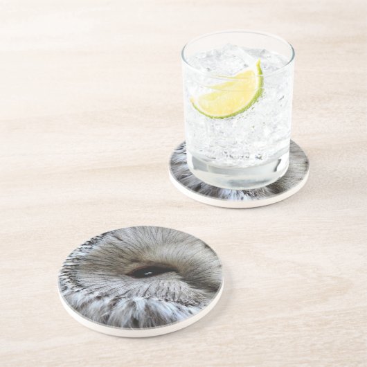 フール コースター (側面)