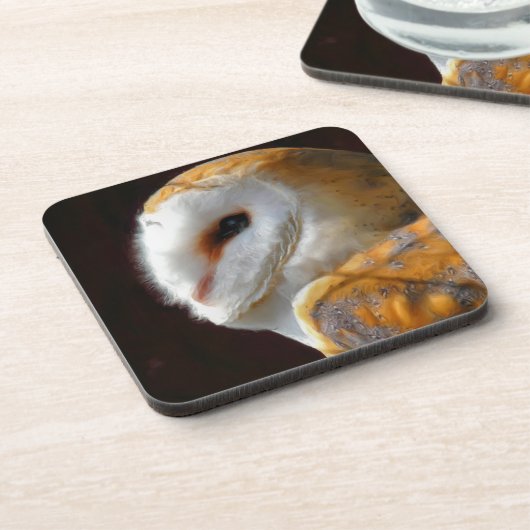 フール コースター (左側)