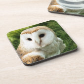 フール コースター (左側)